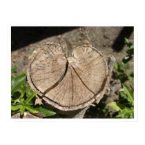 Broken Heart Tree Posters