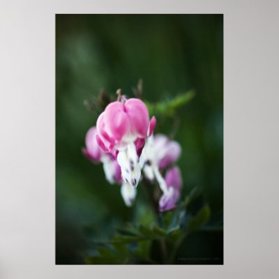 Broken Hearts Line Up Print by DevelopingNature