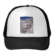 Broken logs, Petrified Forest National Park, Arizo Trucker Hat