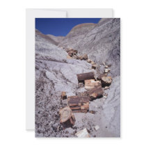 Broken logs, Petrified Forest National Park, Arizo Personalized Invitation