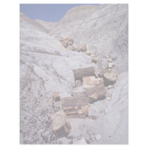 Broken logs, Petrified Forest National Park, Arizo Personalized Letterhead