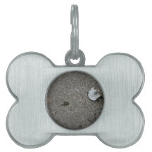 Broken net float on beach pet tags