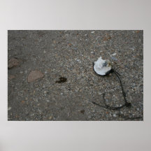 Broken net float on beach poster
