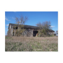Broken Old Barn Ionia, Michigan Postcard