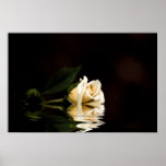 Broken Romance posters