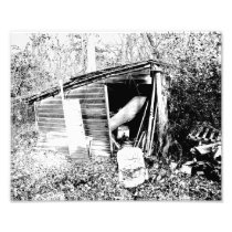 Broken Shack Art Photo