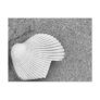 Broken shell in the sand postcard