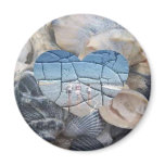 Broken Shells Magnets