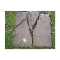 Broken Stepping stone postcards by shroomabob1 Broken Stepping stone postcards