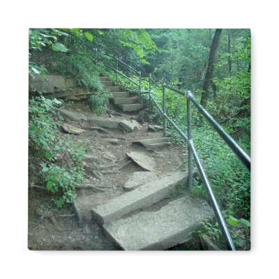Broken Steps Fall Creek Falls Tennessee Magnet by paulbatesphoto