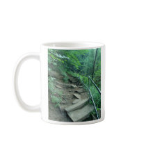 Broken Steps Fall Creek Falls Tennessee Mug