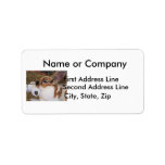 Broken tri color mini rex rabbit head on waterer address label