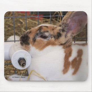 Broken tri color mini rex rabbit head on waterer mousepad