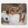Broken tri color mini rex rabbit head on waterer mouse pad