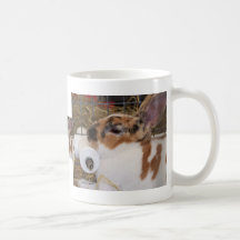 Broken tri color mini rex rabbit head on waterer coffee mug
