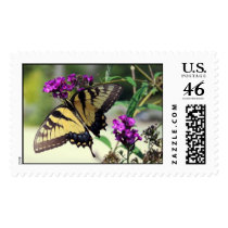 Broken Wing Postage Stamp