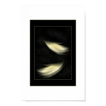 broken wings posters