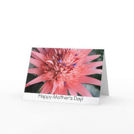 Bromelia mother's day card