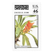 Bromelia-Vrisea postage