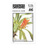 Bromelia-Vrisea Postage Stamp