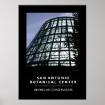 Bromeliad Conservatory Print