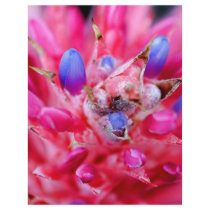 Bromeliad letterhead by hlehnerer Bromeliad letterhead