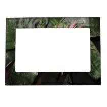 Bromeliad Magnetic Photo Frame magnetic frames