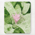 Bromeliad Mousepad