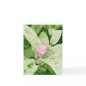 Bromeliad Notecards