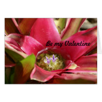 Bromeliad Plant Valentine cards