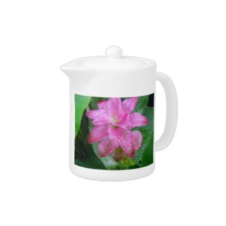 Bromeliad Watered Teapot teapot