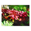bromeliads posters