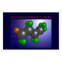 Bromobutane (print)