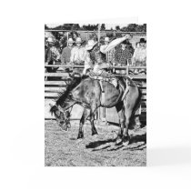 Bronc Rider Card