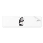 "Bronceado" Bumper Stickers
