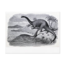 Brontosaurs At Play Postcard