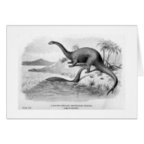 Brontosaurus excelsus art card