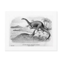Brontosaurus excelsus art postcard