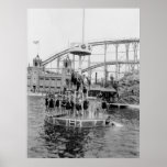 Bronx Amusement Park, 1920s posters