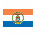 Bronx Borough Flag t-shirts by FlagTshirts Bronx Borough Flag t-shirts