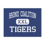Bronx Coalition - Tigers - Community - Bronx Postcards