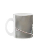 Bronx Zoo 006 copy Coffee Mug