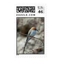 Bronx Zoo 006 copy postage by SilenasImages Bronx Zoo 006 copy postage