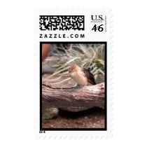 Bronx Zoo 019 copy Stamp