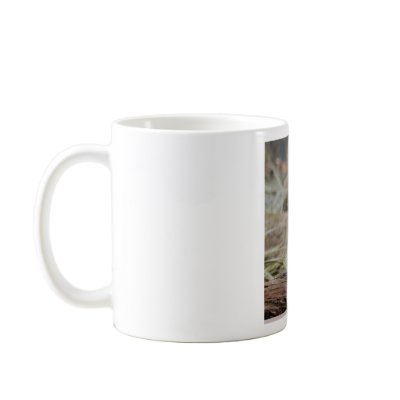 Bronx Zoo 021 copy Coffee Mug by SilenasImages