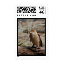 Bronx Zoo 021 copy postage by SilenasImages Bronx Zoo 021 copy postage