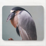 Bronx Zoo 127 bird 2a Mouse Pad