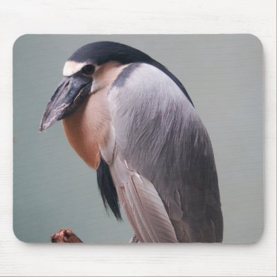 Bronx Zoo 127 bird 2a Mouse Pad by SilenasImages