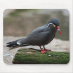 Bronx Zoo 193 copy Mouse Mat