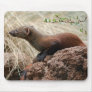 Bronx Zoo 210 copy Mouse Mats